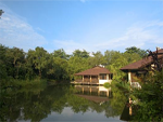 MacRitchie Nature Trail