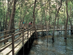 Sungei Buloh Wetland Reserve